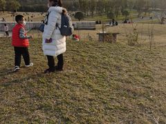 -盘龙城国家考古遗址公园