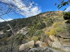 -鲁山国家森林公园