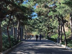 -天津盘山风景名胜区