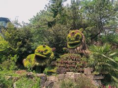 -东平国家森林公园
