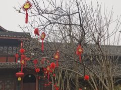 -峨眉山报国寺