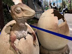 -湖南省地质博物馆