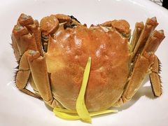 -蟹榭·本帮江浙菜·蟹宴(虹桥高岛屋百货店)
