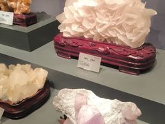 -湖南省地质博物馆