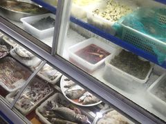 水产区-全乐鱼馆·淳牌有机鱼直营店