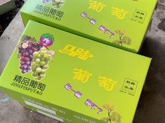 -马陆小张葡萄园农家乐