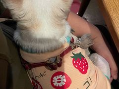 -THE CANNERY&JUJU 新鲜海鲜·牛排美食酒廊