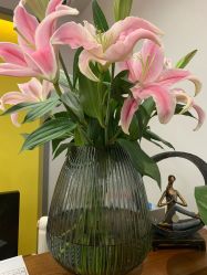 -FineYoga梵音瑜伽·普拉提