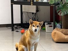 -NOTBAD 须时·咖啡馆