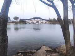 -长广溪湿地公园