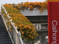 -芬芳甜品(东风西路店)