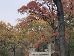 -灵谷景区