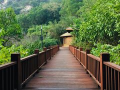 -厦门国家会计学院