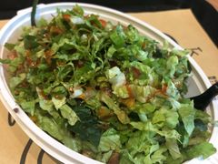 -油梨树 AVOCADO TREE(亮马桥店)