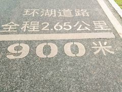 -海珠湖公园