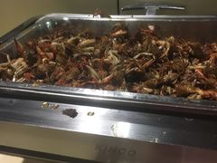 -龙达温泉生态城