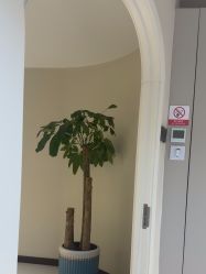 -柯莲娜医学美容