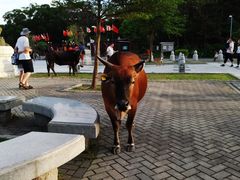 -天坛大佛