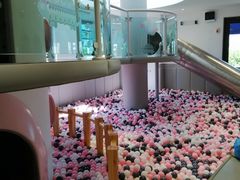 -龙格亲子游泳·水育早教运动中心(绿城店)