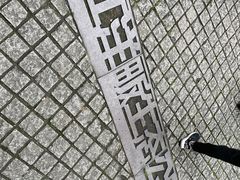 -西湖风景区-江洋畈生态公园