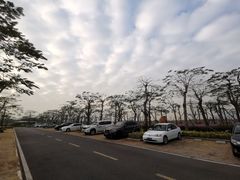 -芒洲湿地公园