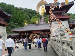 -庐山风景名胜区-东林大佛