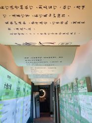 -阅年轻·AI家庭健康体质调理