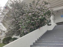 -天河体育中心
