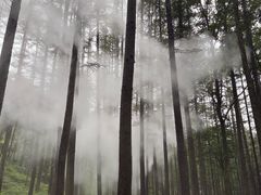 -洛阳白云山景区