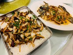 鲫鱼蒸饭-老洋坊饭店(厚街东宝路店)