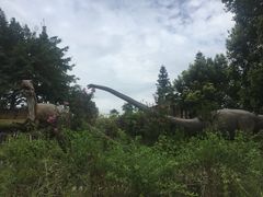 -自贡恐龙博物馆