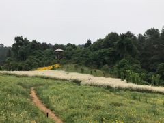 -保利石象湖景区