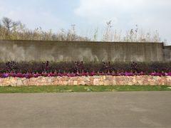 紫清湖生态旅游温泉度假区-南京汤山紫清湖生态旅游温泉度假区