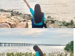 -宝安西湾红树林湿地公园