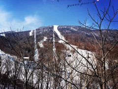 -亚布力新体委滑雪场