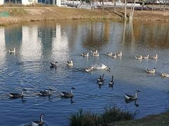 -西安浐灞国家湿地公园