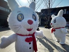 -雅达·阳羡溪山小镇中心