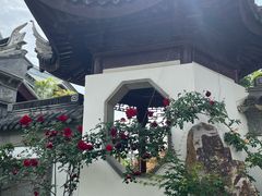 -苏州冶园园林民宿(太湖西山风景区店)
