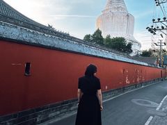 -妙应寺白塔