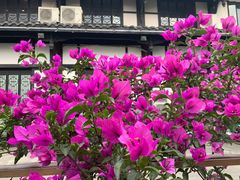 -高坎一品甲鱼庄(两河店)