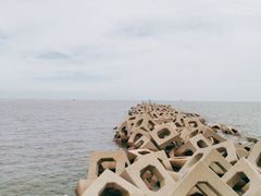 -东疆建设开发纪念公园