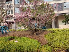 -咖啡厅自助餐厅(贵阳中天凯悦酒店)