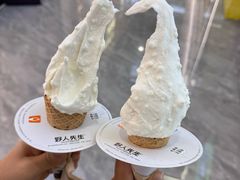 -野人先生现做冰淇淋(西安赛格店)