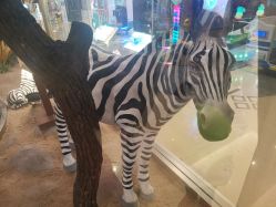 -卡通尼·Safari非洲探索乐园·生日会(金桥国际商业广场店)