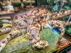 -叙亨轩海鲜火锅