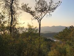 -林丰温泉度假山庄