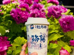 -杏花村水席楼·洛阳水席(老城十字街店)