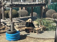 -大连森林动物园