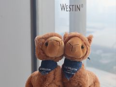 -广交会威斯汀酒店