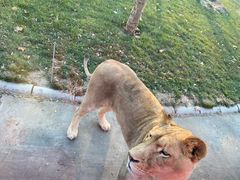 -北京野生动物园